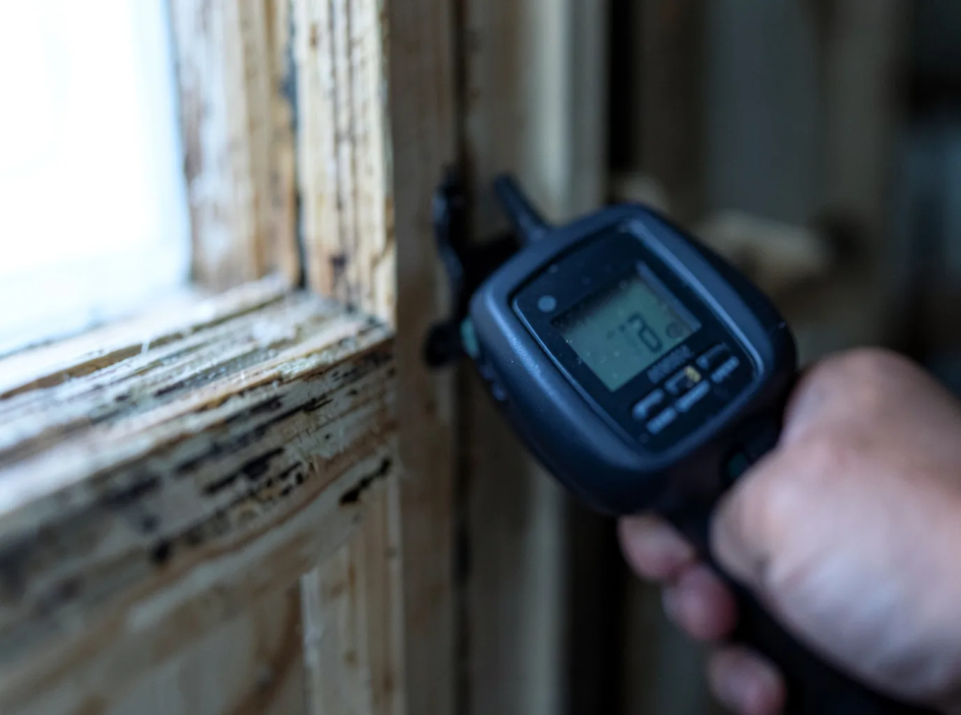Moisture Inspection And Documentation in Templeton, MA